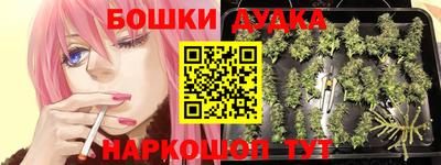 индика Наро-Фоминск