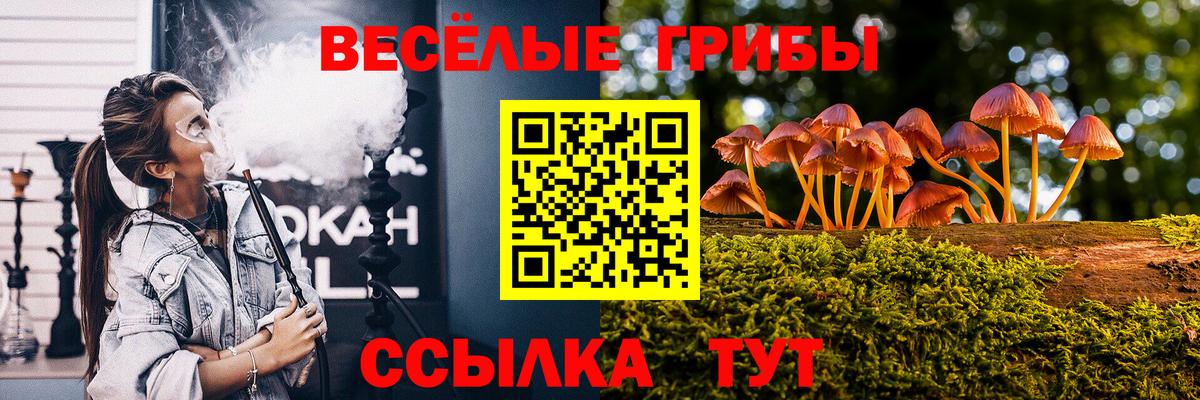 Чапаевск  Псилоцибиновые грибы Cubensis  наркота  Вход с VPN 